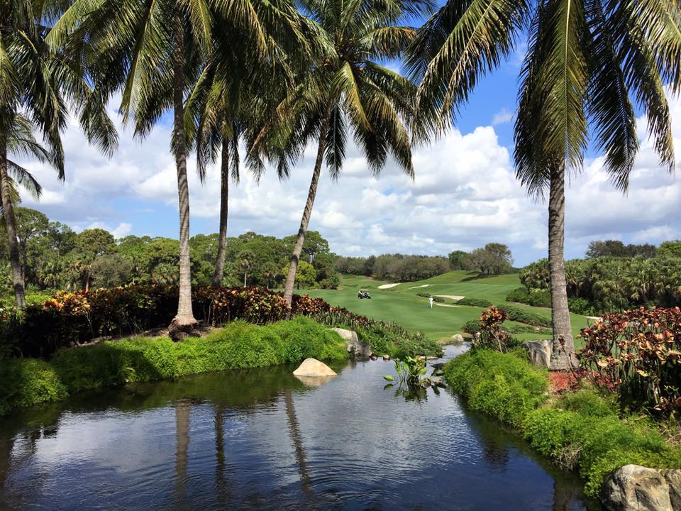 Golf course water feature